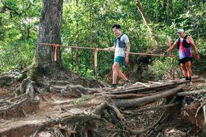 BIB: 
                            <button type="button" onclick="openModal(27556584)" class="btn btn-primary btn-sm float-right btn-popup" data-toggle="modal" data-target=".modal-high-quality">
                        <i class="fas fa-shopping-cart"></i> Add to Cart
                    </button>
                                            <button type="button" onclick="isThisMe(27556584, true)" class="btn btn-success btn-sm float-right btn-popup btn-isme hidden" data-toggle="tooltip" data-placement="bottom" title="นี่คือรูปของคุณใช่ไหม คลิกที่นี่เพื่อเอาเข้าอัลบั้ม">
                        <i class="fas fa-plus"></i> Add to album
                    </button>
                    <button type="button" onclick="isThisMe(27556584, false)" class="btn btn-warning btn-sm float-right btn-popup btn-isnotme hidden">
                        <i class="fas fa-ban"></i> Remove from album
                    </button>